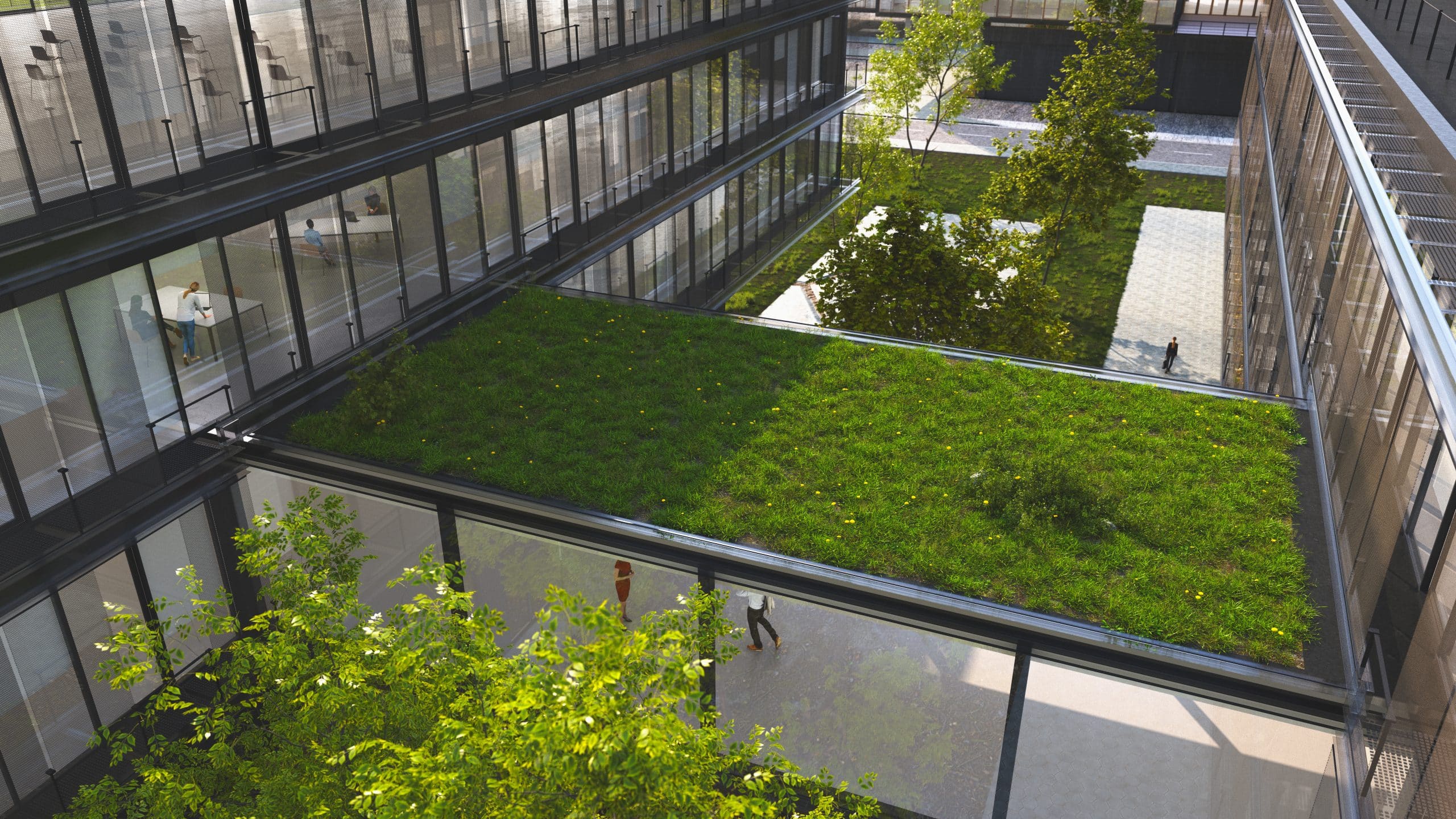 A sustainable green office building with a green roof